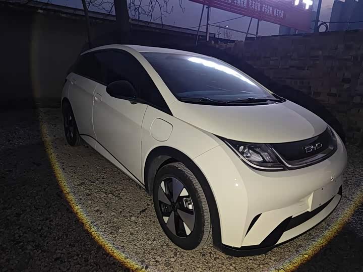 Фото 4 - BYD Dolphin