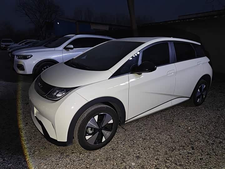 Фото 5 - BYD Dolphin