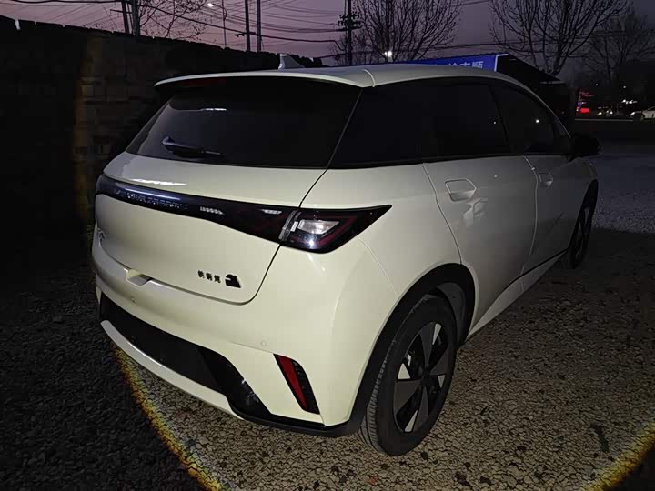 Фото 7 - BYD Dolphin