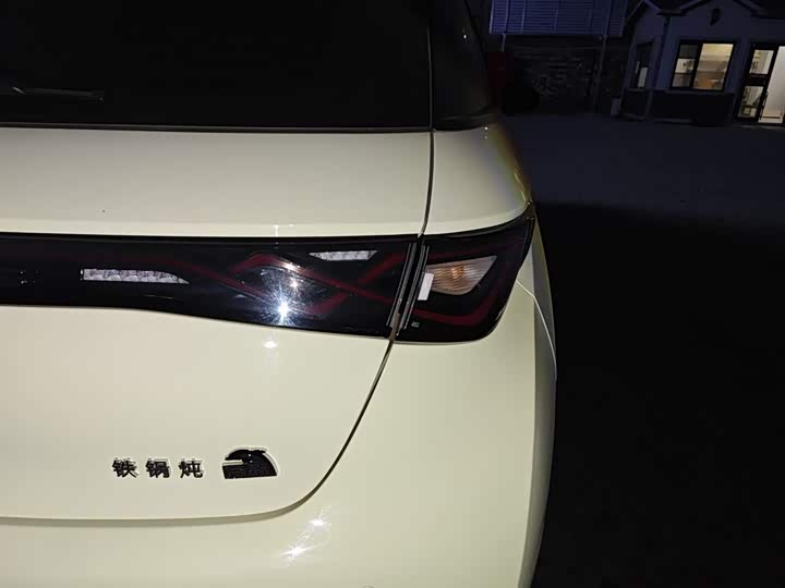 Фото 8 - BYD Dolphin