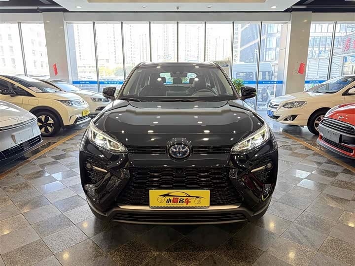 Фото 2 - Toyota Wildlander