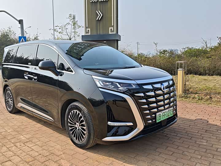 Фото 3 - Denza D9