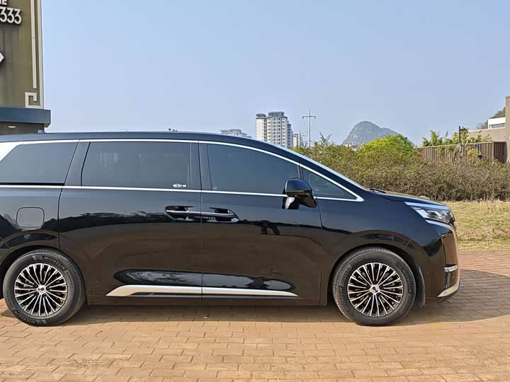 Фото 4 - Denza D9