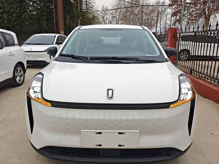 Фото 3 - Bestune NAT