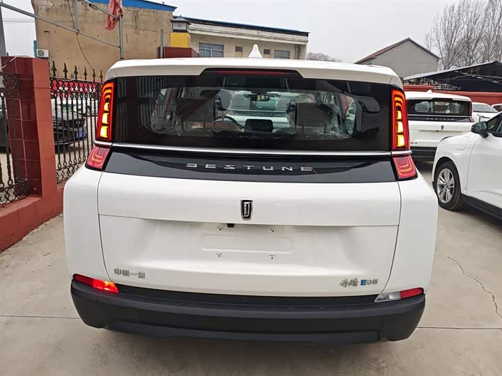 Фото 6 - Bestune NAT