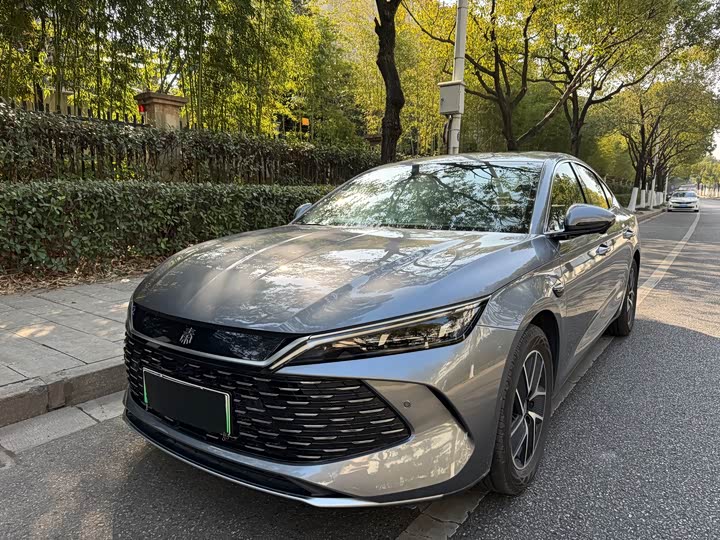 Фото 1 - BYD Qin L