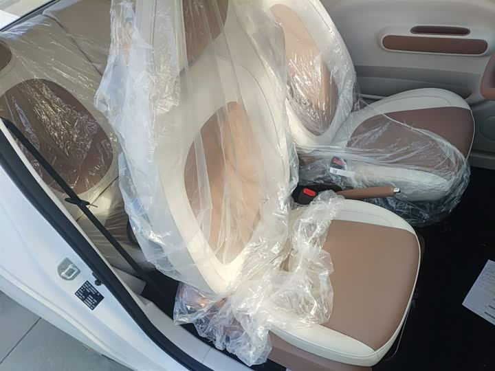 Фото 3 - Bestune Pony