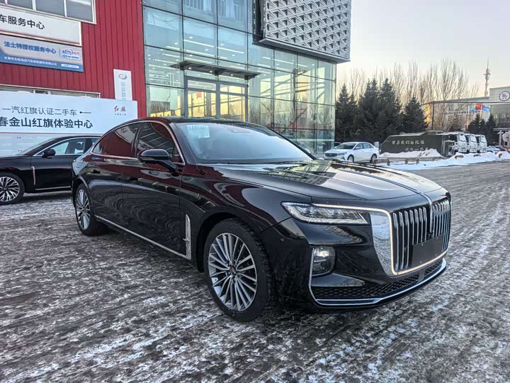 Фото 3 - Hongqi H9
