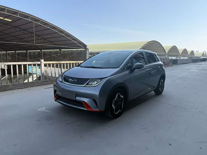 Фото 1 - BYD Dolphin