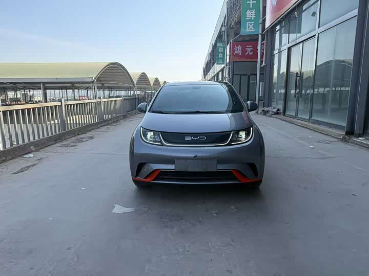 Фото 2 - BYD Dolphin