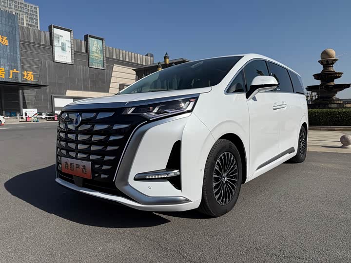 Фото 1 - Denza D9