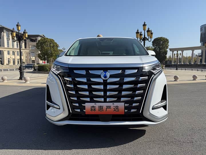 Фото 2 - Denza D9