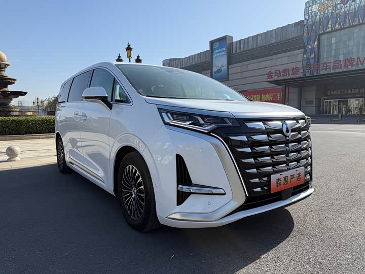 Фото 3 - Denza D9