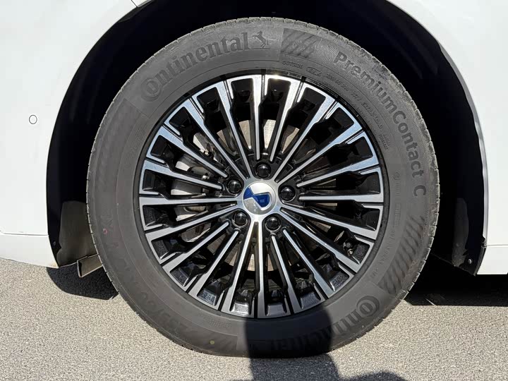 Фото 4 - Denza D9