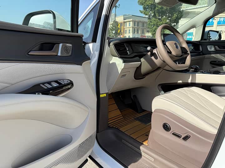 Фото 6 - Denza D9