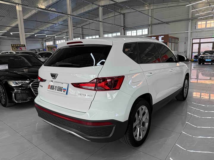 Фото 4 - Jetta VS5