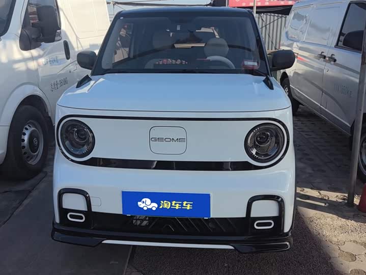 Фото 2 - Geely Galaxy Panda Mini