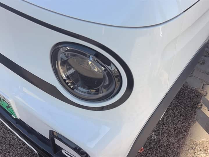 Фото 5 - Geely Galaxy Panda Mini