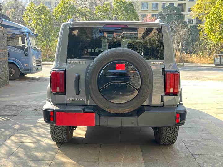 Фото 9 - Tank 300