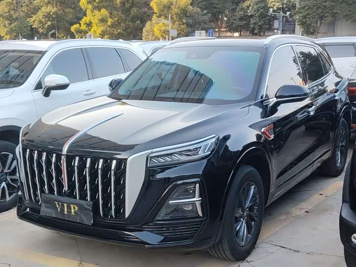 Фото 2 - Hongqi HS5