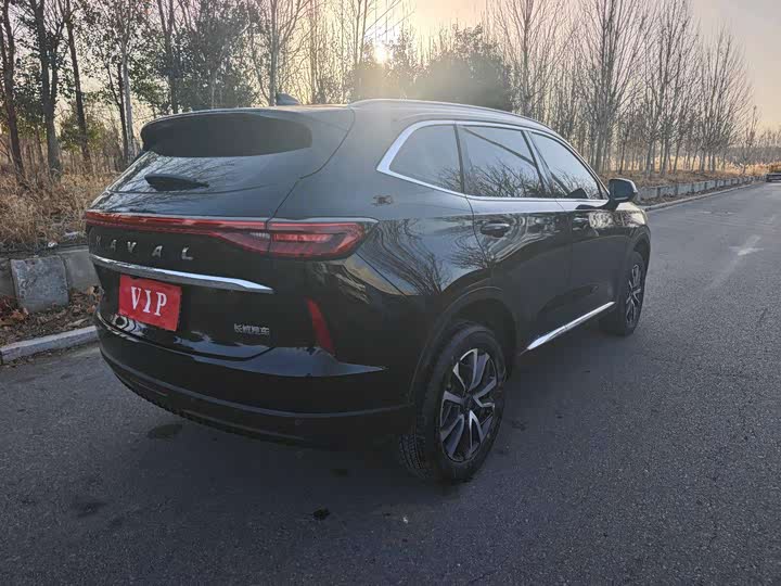 Фото 9 - Haval H6
