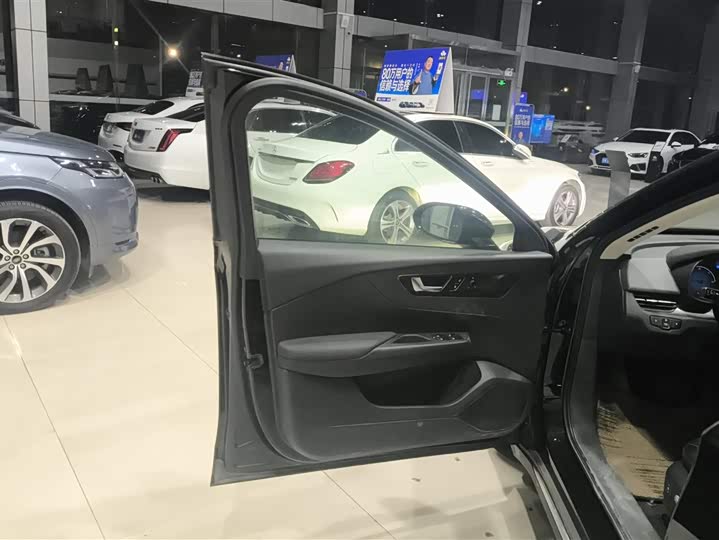 Фото 7 - Hongqi E-QM5