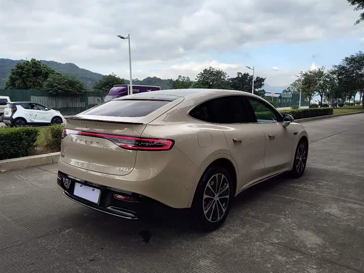 Фото 3 - Luxeed R7