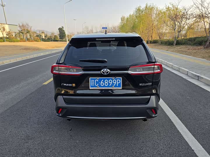 Фото 4 - Toyota Wildlander