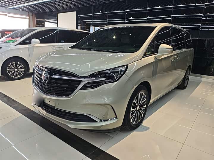 Фото 1 - Buick GL8 ES