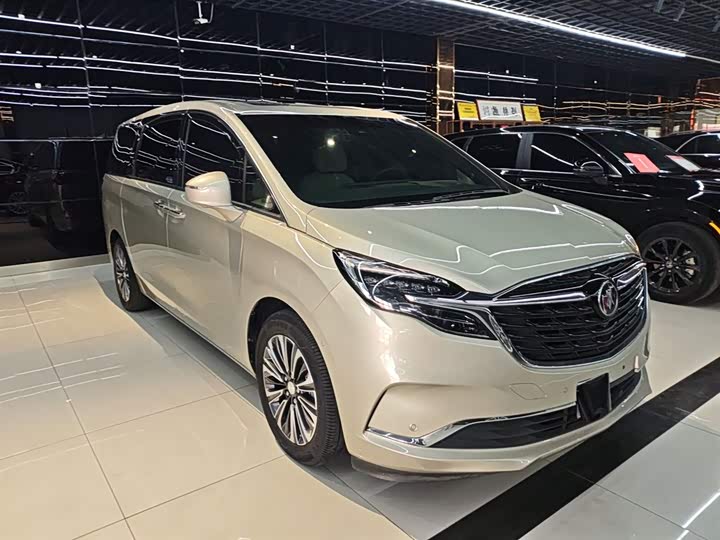 Фото 4 - Buick GL8 ES