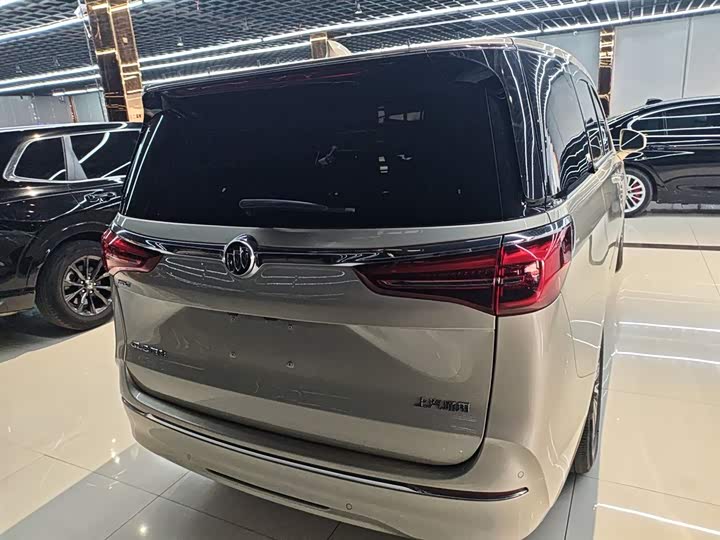 Фото 6 - Buick GL8 ES