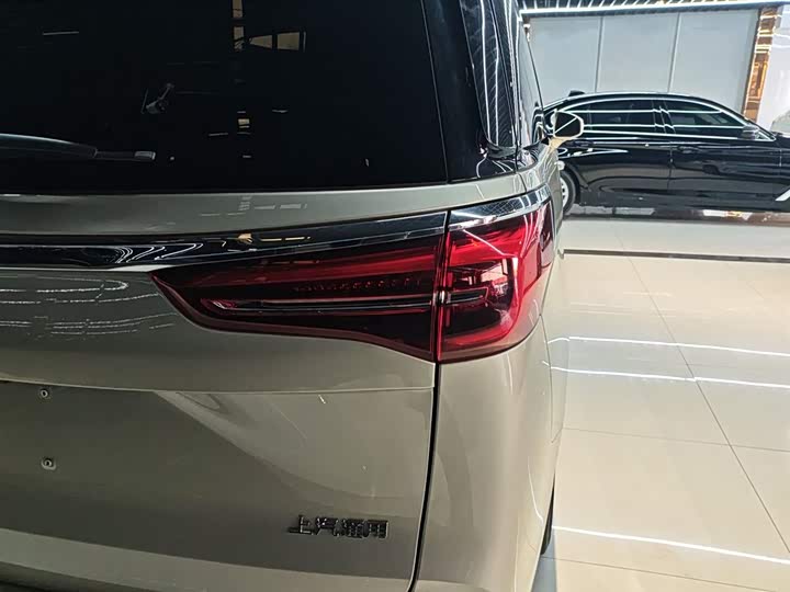 Фото 8 - Buick GL8 ES