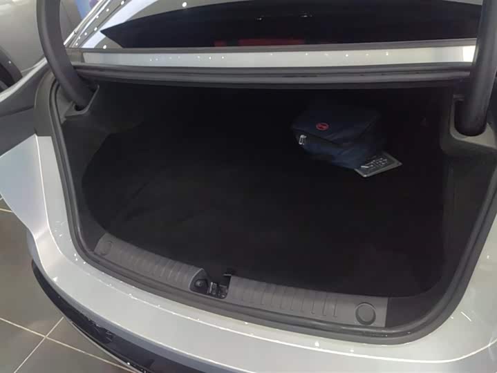 Фото 4 - BYD Han L