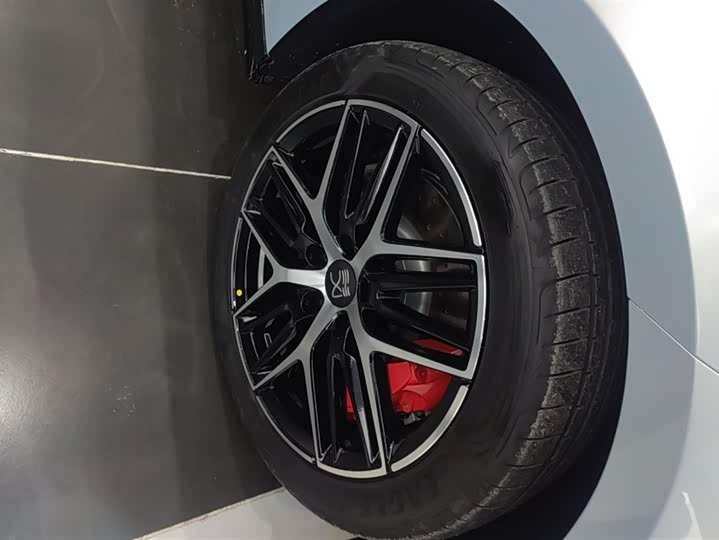 Фото 6 - BYD Han L