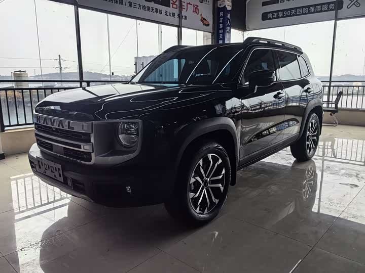 Фото 2 - Haval Dargo