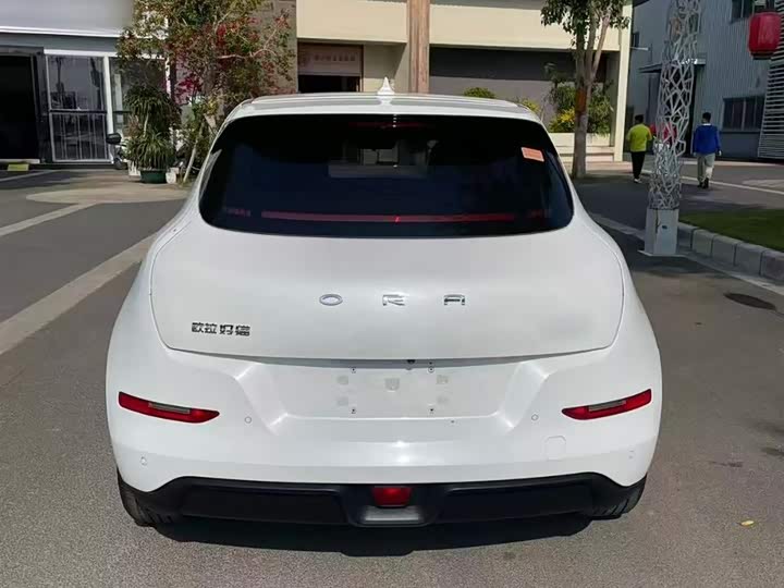 Фото 9 - Ora Good Cat (03)