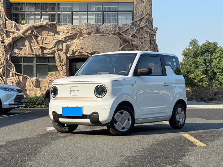 Фото 1 - Geely Galaxy Panda Mini