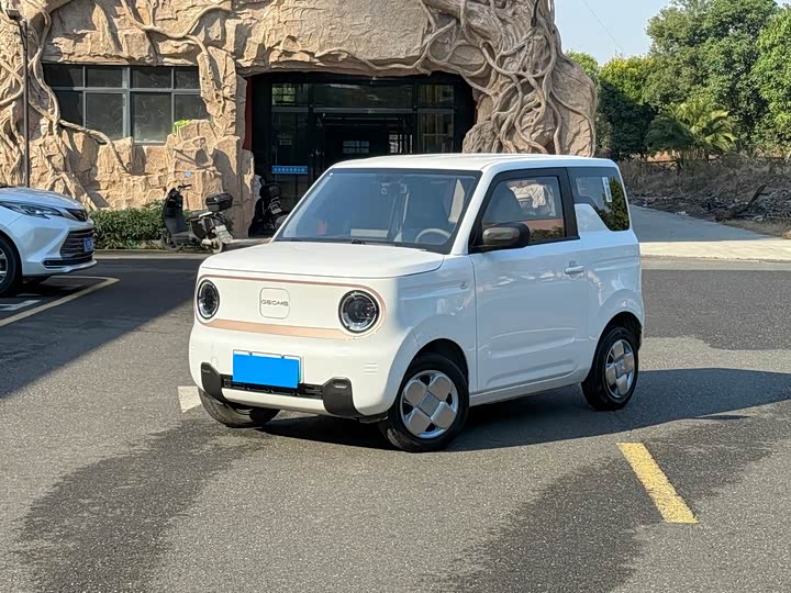 Фото 5 - Geely Galaxy Panda Mini