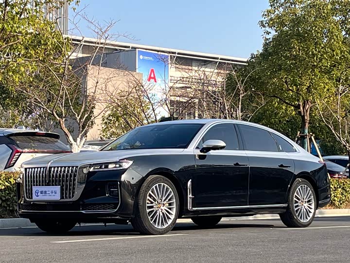 Фото 1 - Hongqi H9