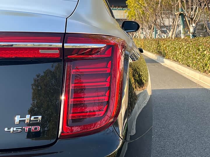 Фото 7 - Hongqi H9