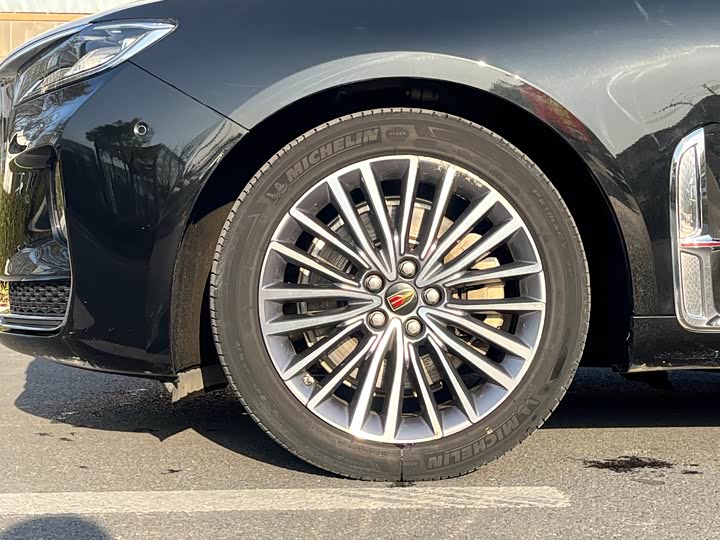 Фото 9 - Hongqi H9