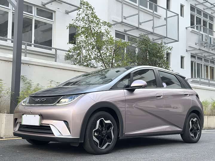 Фото 1 - BYD Dolphin