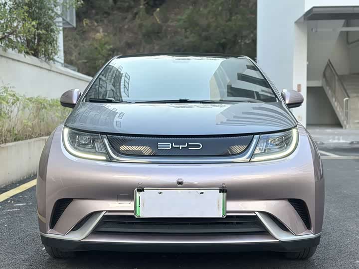 Фото 2 - BYD Dolphin