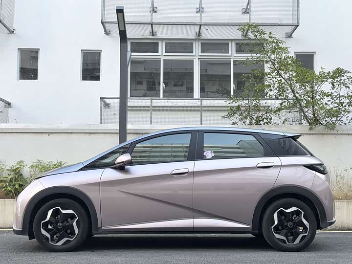 Фото 3 - BYD Dolphin