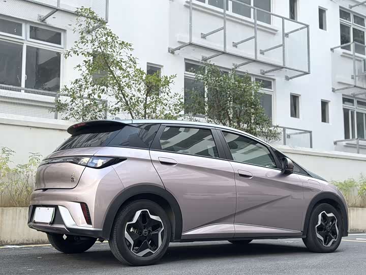 Фото 8 - BYD Dolphin