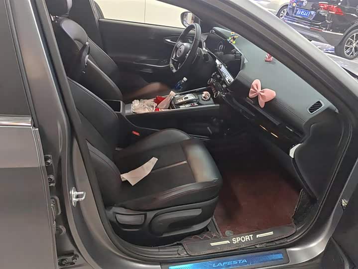 Фото 8 - Hyundai Lafesta