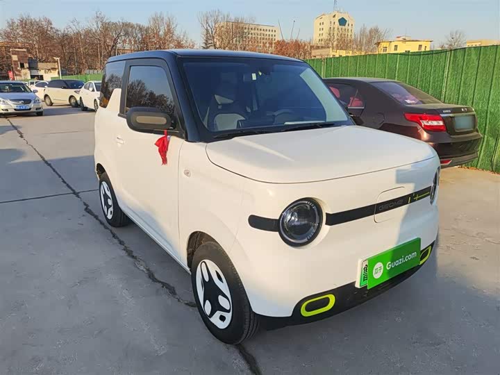 Фото 4 - Geely Galaxy Panda Mini