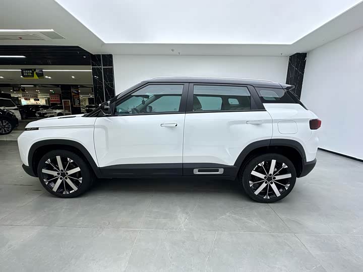 Фото 5 - Geely Icon