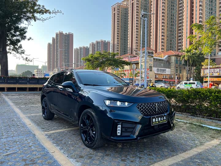 Фото 1 - Wey VV7