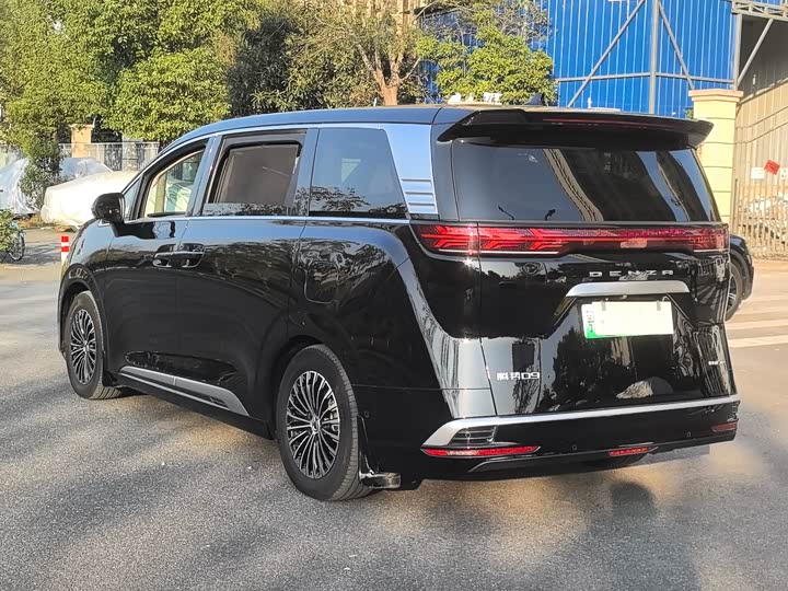 Фото 6 - Denza D9